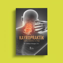 Kayropraktik